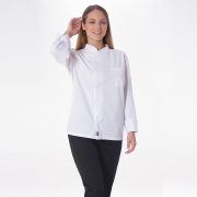 Breeze_Model_2